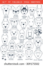 Set sketches of 24 dogs different breeds handmade. Icons with pets animals. Alabai Mastiff. Bulldog and pug. Pitbull isolated