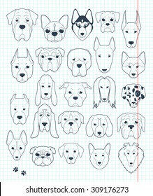 Set sketches of 24 dogs different breeds handmade. Icons with pets animals. Alabai Mastiff. Bulldog and pug. Pitbull isolated