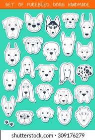 Set sketches of 24 dogs different breeds handmade. Icons with pets animals. Alabai Mastiff. Bulldog and pug. Pitbull