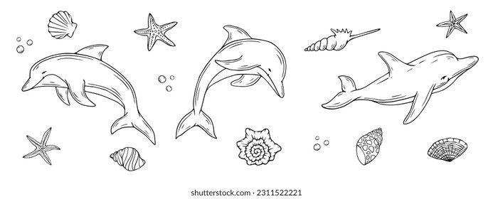 Montaje de bocetos de delfines de mamíferos acuáticos con estrellas de mar y varias conchas. Gráficos vectoriales de dibujos animados.