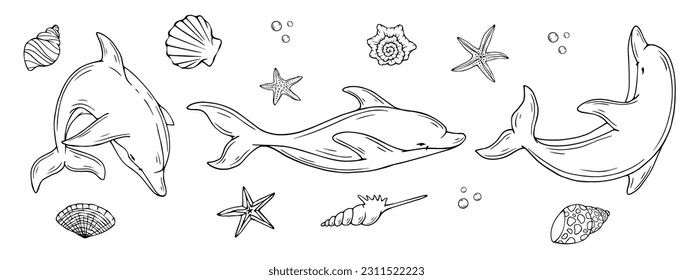 Set of sketches of aquatic mammals dolphins with starfish and various shells. Cartoon vector graphics.