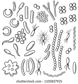 Set Sketches Bacteria Different Kinds Stock Vector (Royalty Free ...