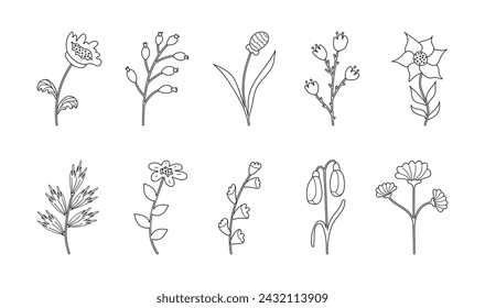 Set of sketches of black spring Flowers isolated on a white background. Hand drawn Outline of plant buds and leaves for decoration.
