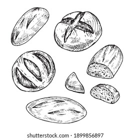 A set of sketches of breads. Hand-drawn illustration.