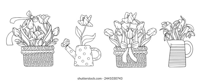 A set of sketches and coloring pages of bouquets of spring flowers, tulips and snowdrops in festive wicker baskets and vases. Vector graphics.