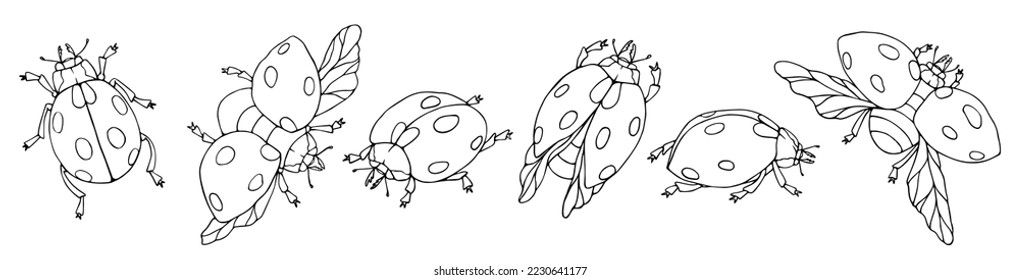 Un conjunto de bocetos, páginas de colores de insectos alados de ladybug.Gráficos vectores.