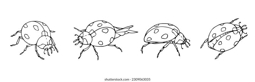 Un conjunto de bocetos, páginas de colores de insectos alados de ladybug.Gráficos vectores.	