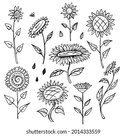 A set of sketches of decorative sunflowers. Vector stock illustration.