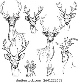 Set sketches of deer forest animal design element clip art illustration hand drawn realistic stylizated cartoon character drawing deer hunting animal protection concept black and white isolated doodle