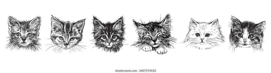 Set of sketches different portraits cute fluffy kittens, animal heads vector drawings isolated on white