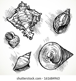 Set of sketches of different shapes shell 2