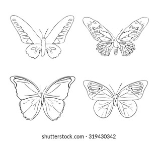 Set of sketches doodle butterflies. Vector illustration