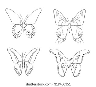 Set of sketches doodle butterflies. Vector illustration