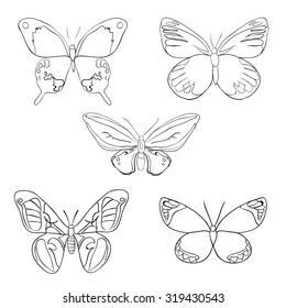 Set of sketches doodle butterflies. Vector illustration