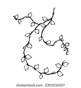 Set of sketches, doodles of botanical elements, branches with leaves. Vector graphics.