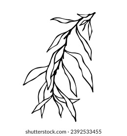 Set of sketches, doodles of botanical elements, branches with leaves. Vector graphics.