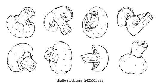 A set of sketches, doodles of champignon mushrooms and pieces of vegetables. Vector graphics.