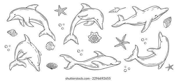 Set of sketches, doodles of dolphins, starfish, shells.Vector graphics.