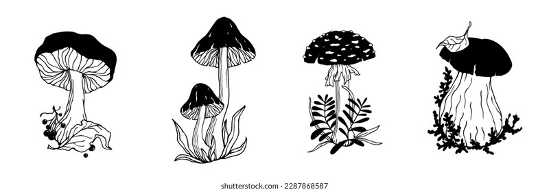 A set of sketches, doodles of forest mushrooms toadstools with leaves and grass.Vector graphics.