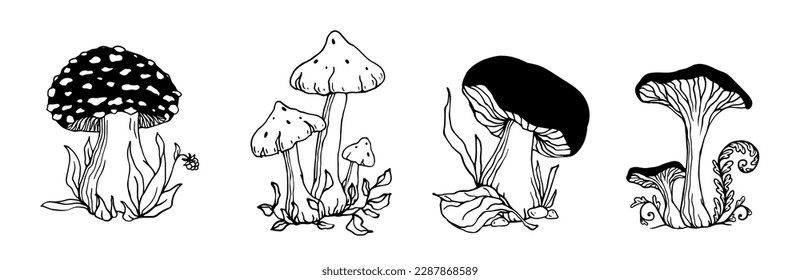 A set of sketches, doodles of forest mushrooms toadstools with leaves and grass.Vector graphics.