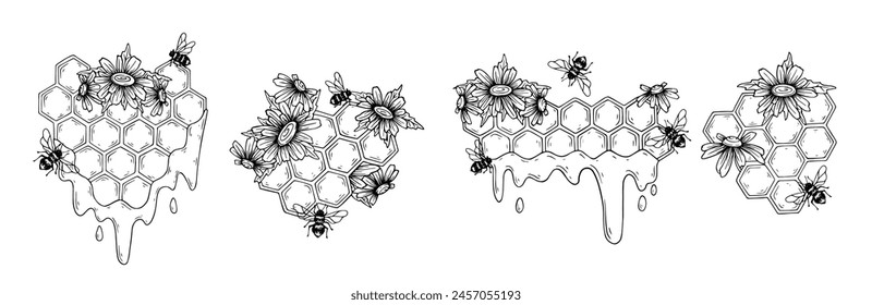 Set of sketches, doodles of honeycombs with wild chamomile flowers, honey bees. Vector graphics.