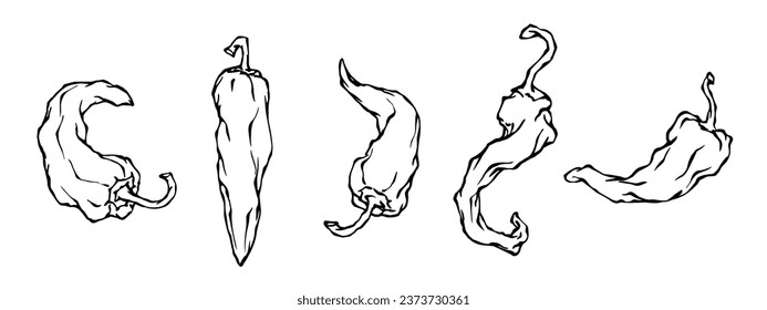 Set of sketches, doodles of hot chili peppers. Vector graphics.