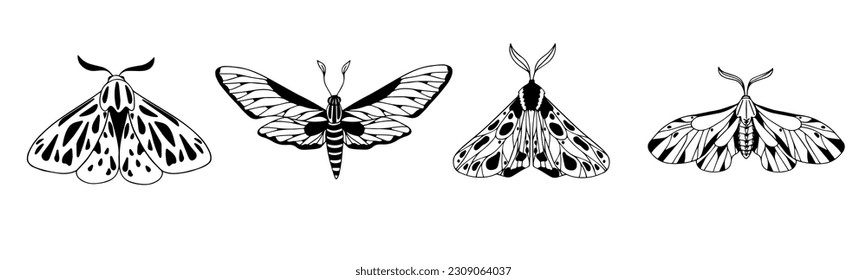 Un conjunto de bocetos, garabatos de la polilla nocturna. Gráficos vectoriales.