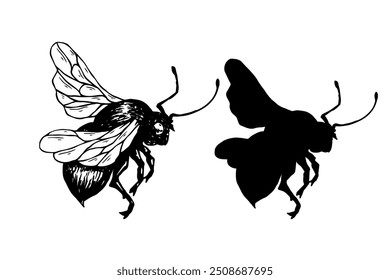 Set of sketches, doodles, silhouettes of winged insect honey bee. Vector graphics.