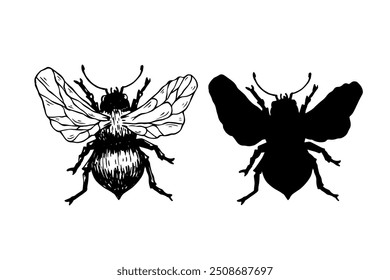 Set of sketches, doodles, silhouettes of winged insect honey bee. Vector graphics.