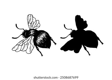 Set of sketches, doodles, silhouettes of winged insect honey bee. Vector graphics.