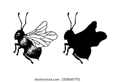 Set of sketches, doodles, silhouettes of winged insect honey bee. Vector graphics.