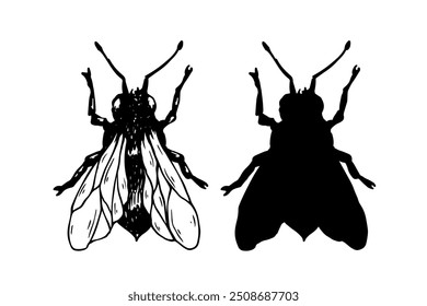 Conjunto de esboços, rabiscos, silhuetas de abelhas aladas. Gráficos vetoriais.