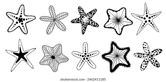 Set of sketches, doodles of starfish. Vector graphics.