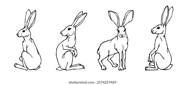 Set of sketches, doodles of wild forest animals hares. Vector graphics.