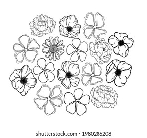 Set of sketches of flower buds