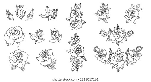 Set of sketches of flowers and rose buds. Vector graphics.