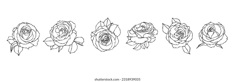 Set of sketches of flowers and rose buds. Vector graphics.