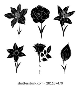 Set of sketches of flowers. Vector isolated on white