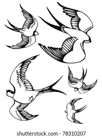 A set of sketches of flying swallows