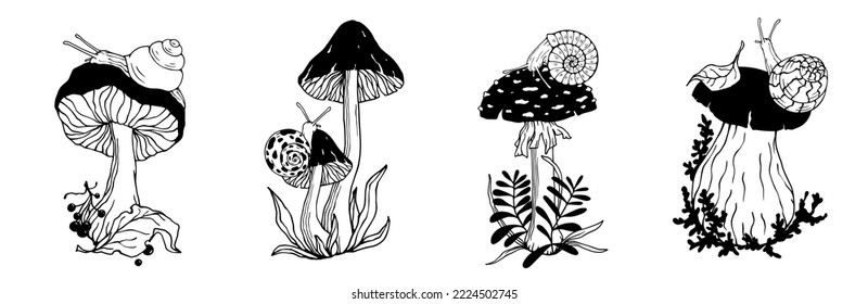 A set of sketches of forest mushrooms, plants and a creeping snail. Vector graphics.