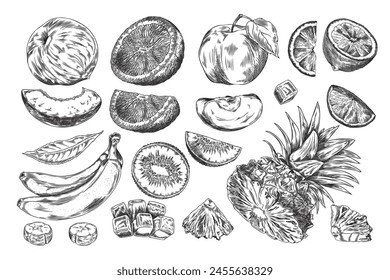 A set of sketches of fresh fruits on a white background. Realistic vector illustrations featuring peaches, bananas, orange slices, ripe mangoes and more for logos or icons.