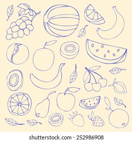 Set Sketches of fruit, isolated, vector illustration.