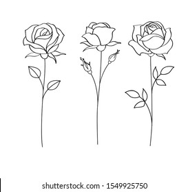 Set of sketches, hand drawn rose, line art. Vector illustration