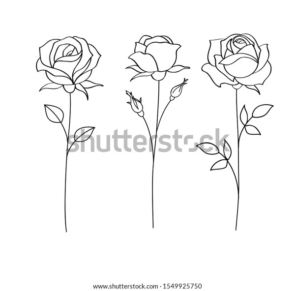Set Sketches Hand Drawn Rose Line Stock Vector Royalty Free