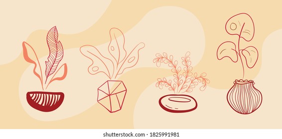 set of sketches of indoor plants in vases