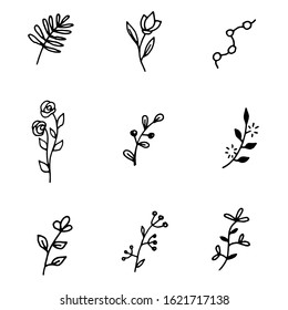 set of sketches and line doodles, hand drawn design elements, isolated flowers, leaves, herbs, for decoration prints, labels, patterns, vector illustration. Coloring book.