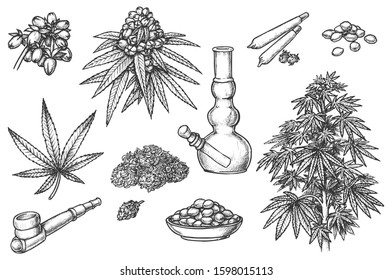 Set Of Sketches For Marijuana Items, Hemp Leaves And Engraved Seeds, Cannabis Bud. Smoking Pipe And Bong, Joint And Jar, Cigarette And Tobacco. Sativa, Indica Marijuanna, Medicine Weed, Legalize Pot