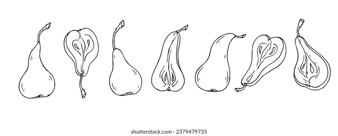Set of sketches, pear fruits and fruit halves. Vector graphics.