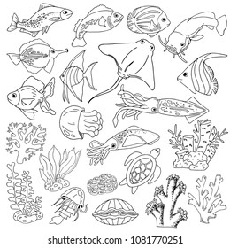 Set sketches of sea animals, fish, corals, seaweed, black on white background, hand drawing, vector illustration