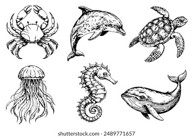 Set of sketches of sea creatures on a white background. Dolphin, jellyfish, crab, whale